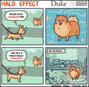 Halo Effect Comic - Small Dog Notices Large Dog Has Luxurious Fur, Assumes He Is A Good Boy. Final Frame - Dog Destroys House